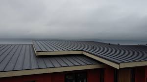 Best Cold Roofs  in Santa Clarita, CA